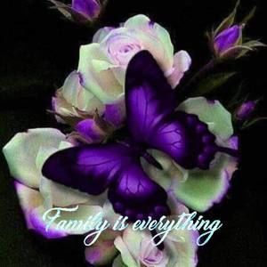 Meet your Posher, Sheila